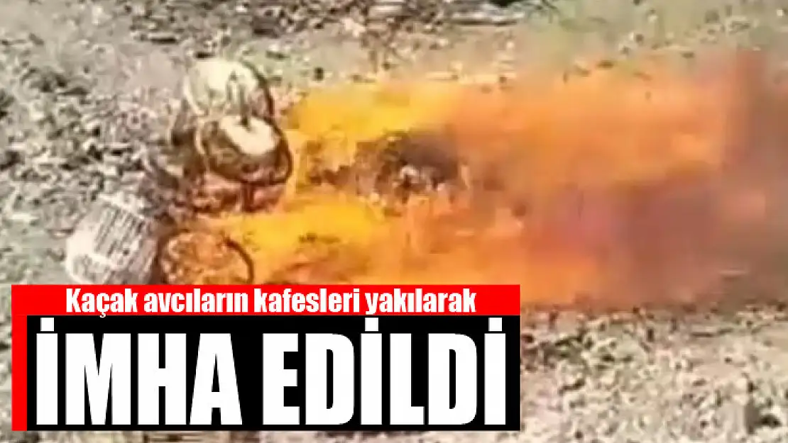 Kaçak avcıların kafesleri yakılarak imha edildi