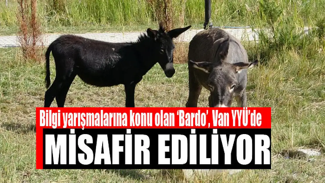 Bilgi yarışmalarına konu olan 'Bardo', Van YYÜ'de misafir ediliyor