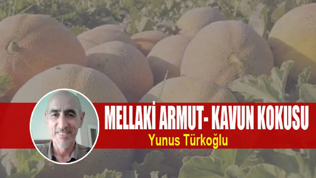 Mellaki Armut- Kavun Kokusu