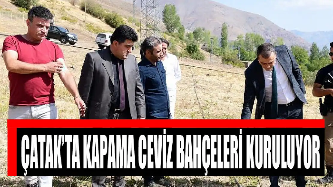 Çatak'ta kapama ceviz bahçeleri kuruluyor