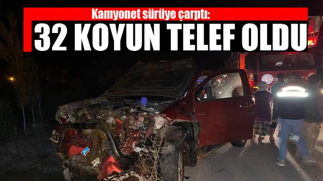 Kamyonet sürüye çarptı: 32 koyun telef oldu