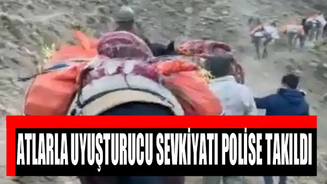 Atlarla uyuşturucu sevkiyatı polise takıldı