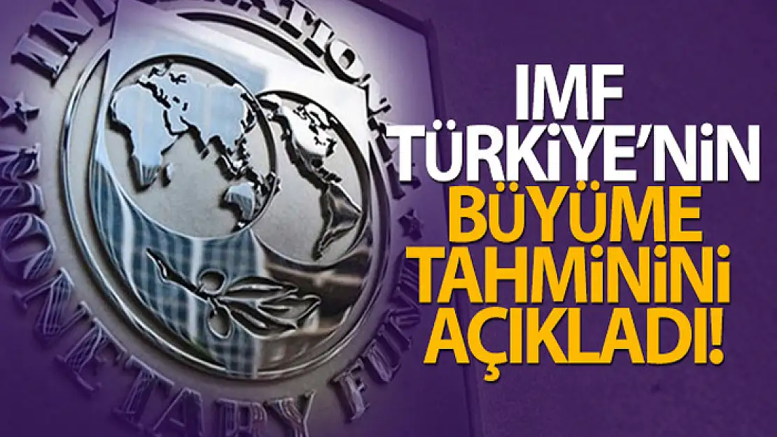 IMF: Türkiye ekonomisi 2021'de yüzde 9 büyüyecek