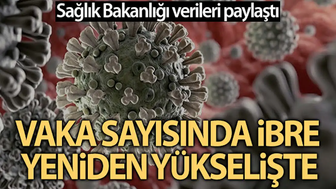 Son 24 saatte korona virüsten 214 kişi hayatını kaybetti