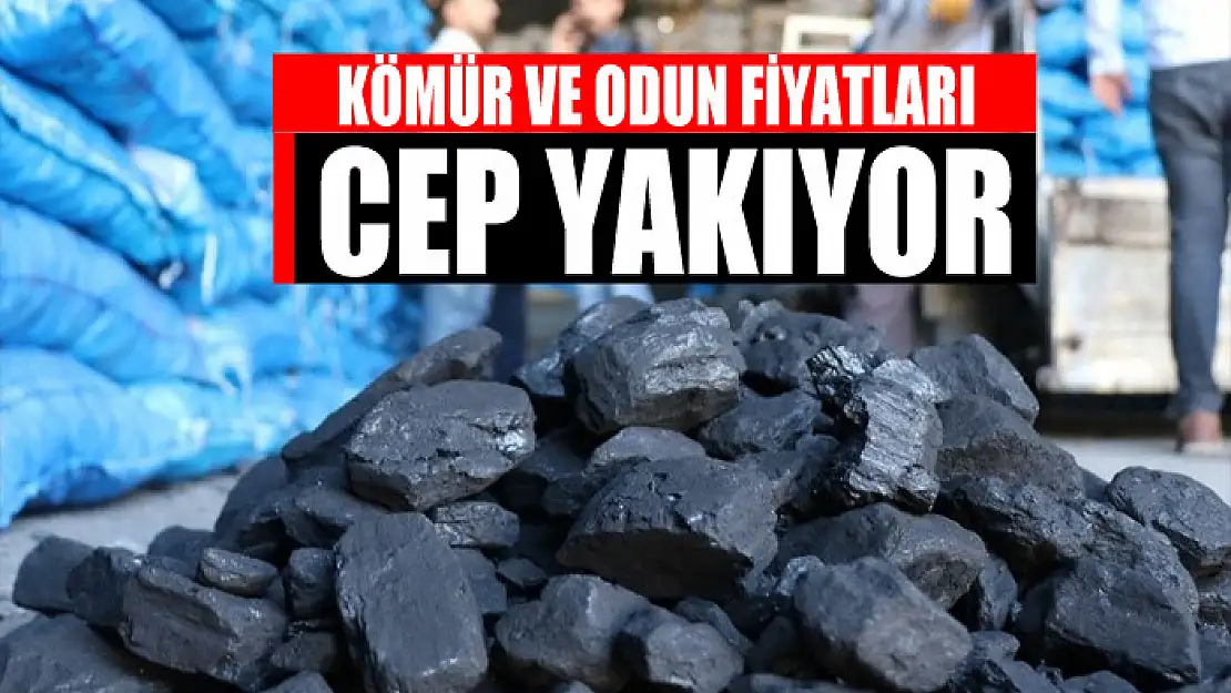 Kömür ve odun fiyatları cep yakıyor