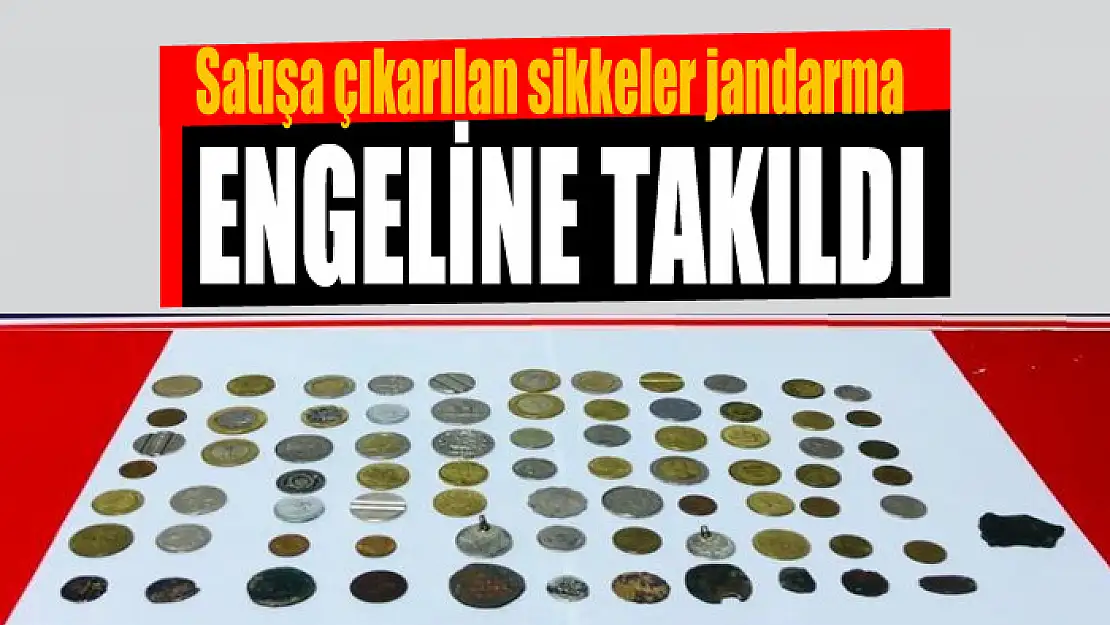 Satışa çıkarılan sikkeler jandarma engeline takıldı