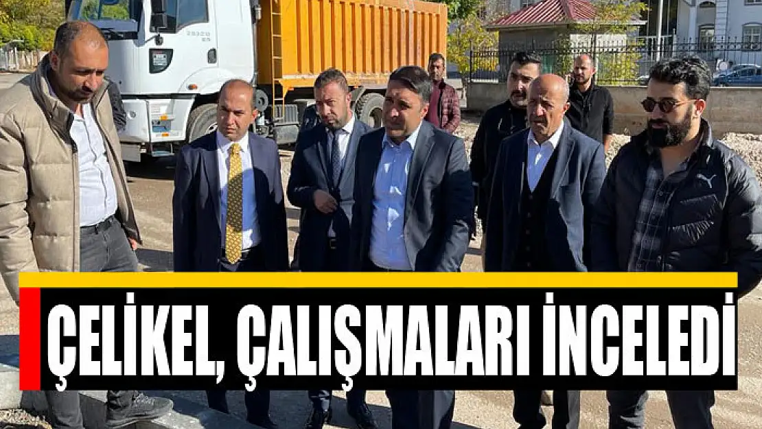 Genel Sekreter Çelikel, çalışmaları inceledi