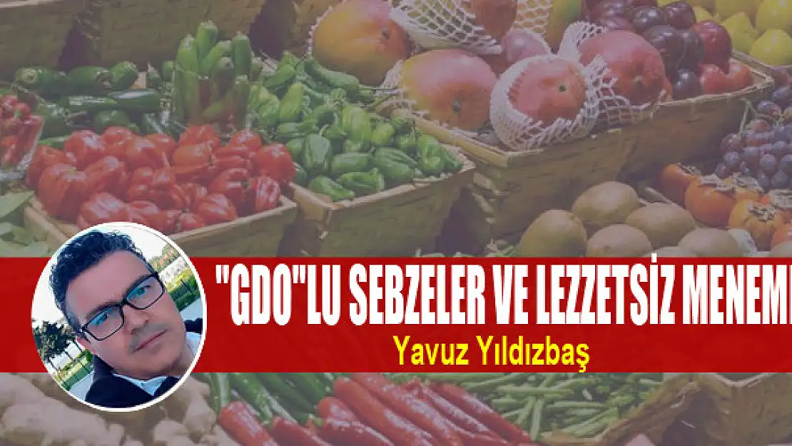 GDO'lu Sebzeler ve Lezzetsiz Menemen