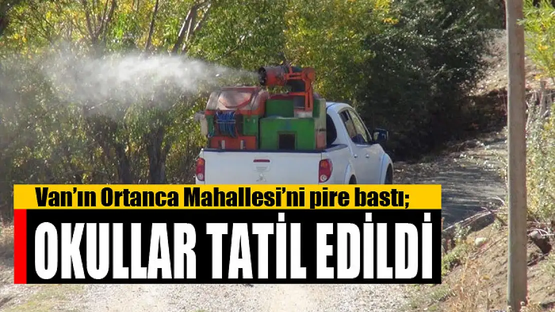 Van'ın Ortanca Mahallesi'ni pire bastı Okullar tatil edildi