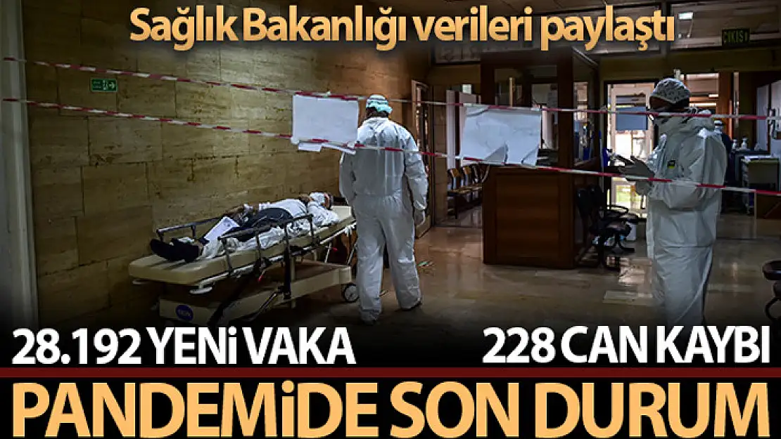 Bakan Koca: 19 yaş ve altının vakalar içindeki oranı yüzde 35,42