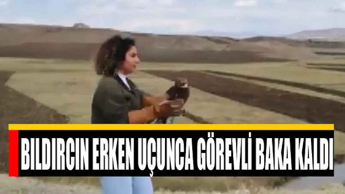 Bıldırcın erken uçunca görevli baka kaldı