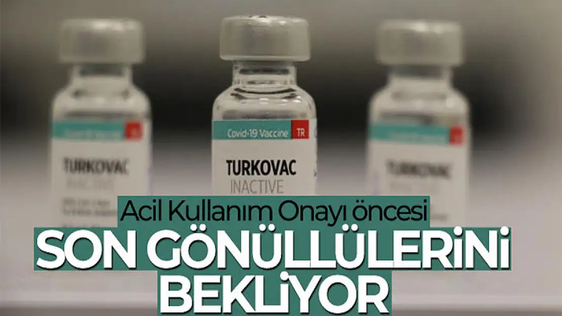 Yerli aşı Turkovac, Acil Kullanım Onayı öncesi son gönüllülerini bekliyor