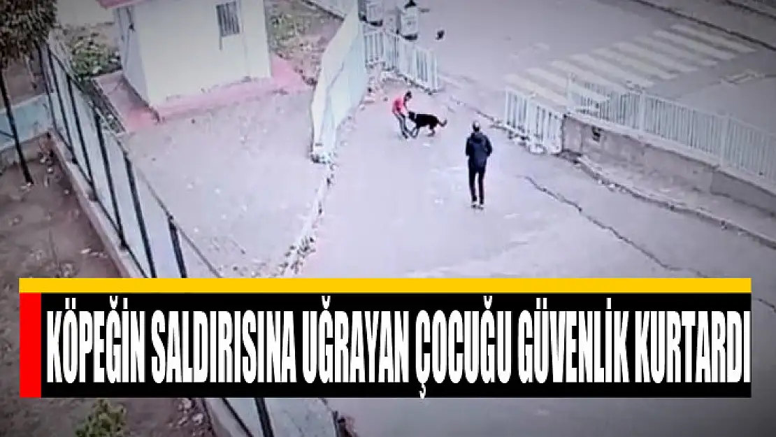 Köpeğin saldırısına uğrayan çocuğu güvenlik kurtardı