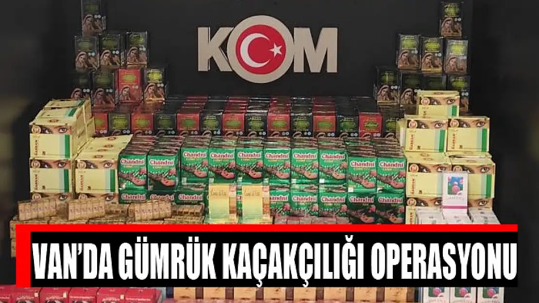 Van'da gümrük kaçakçılığı operasyonu