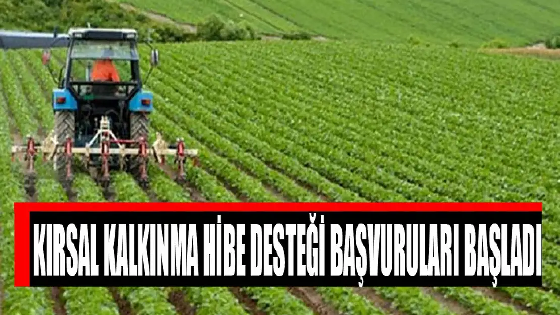 Kırsal kalkınma hibe desteği başvuruları başladı