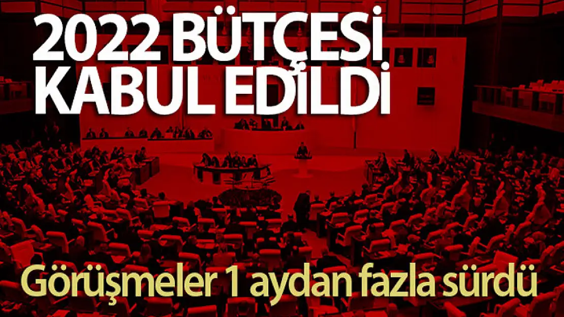 2022 bütçesi TBMM Plan ve Bütçe Komisyonu'nda kabul edildi