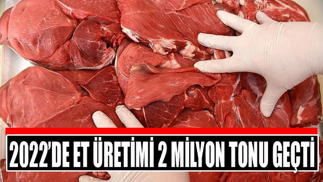 2022'de et üretimi 2 milyon tonu geçti