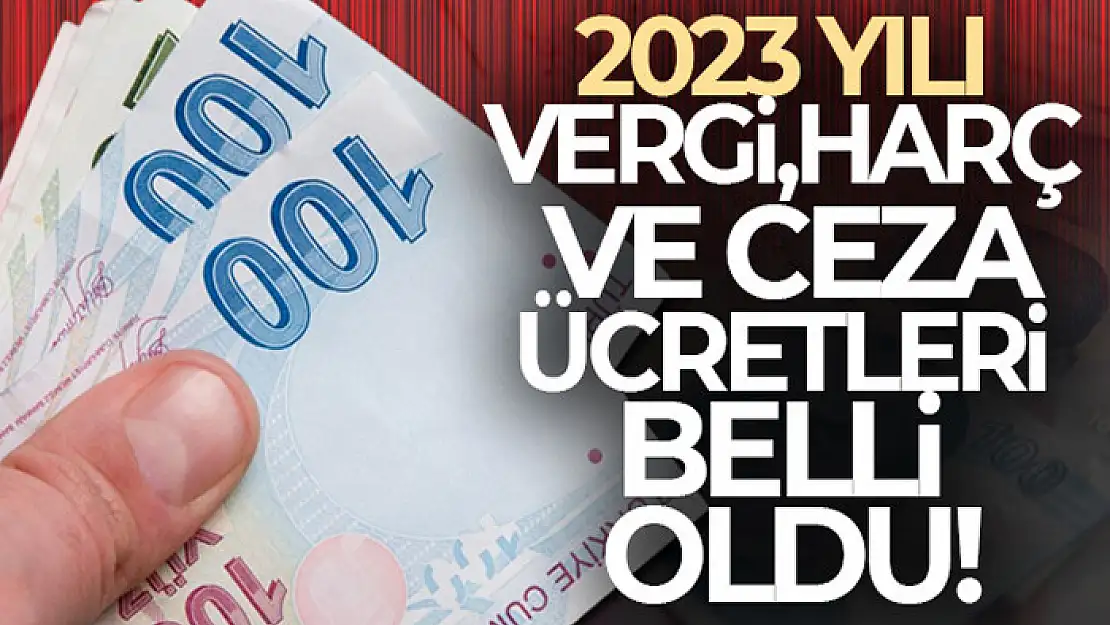 2023 yılı vergi, harç ve ceza ücretleri belli oldu