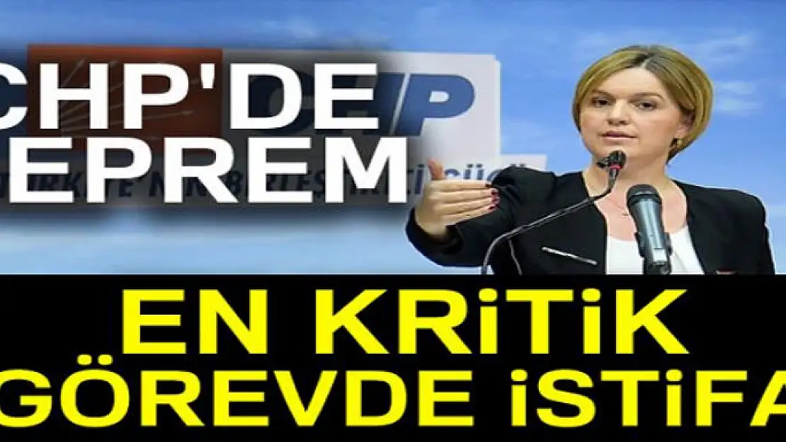 Selin Sayek Böke CHP'deki görevlerinden istifa etti