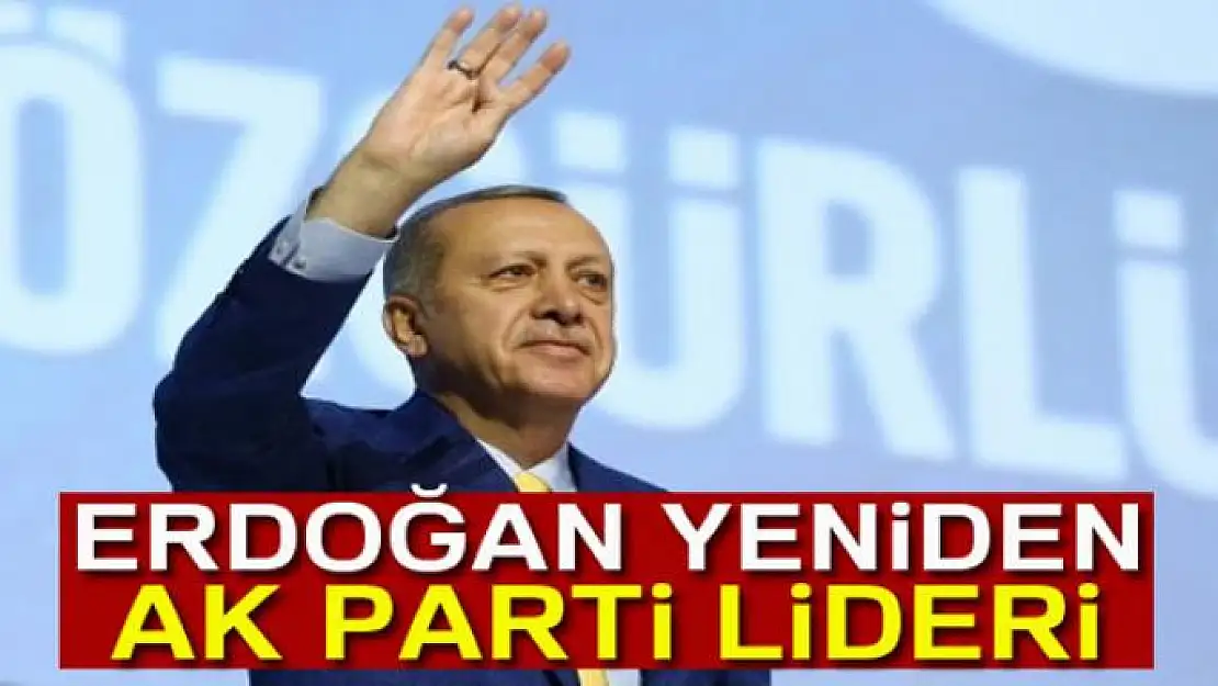 Cumhurbaşkanı Erdoğan yeniden kurucusu olduğu partinin başında