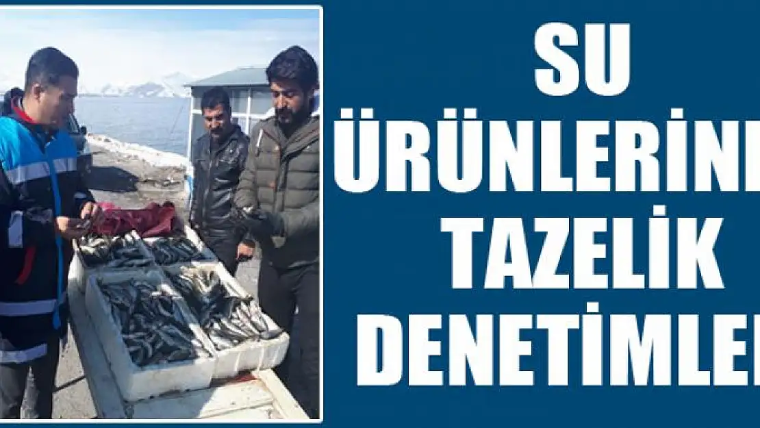 Su ürünlerinde tazelik denetimleri