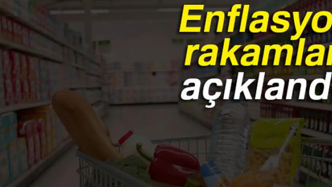 Enflasyon rakamları açıklandı