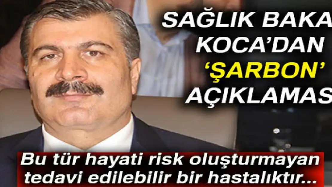 Sağlık Bakanı Koca'dan şarbon açıklaması