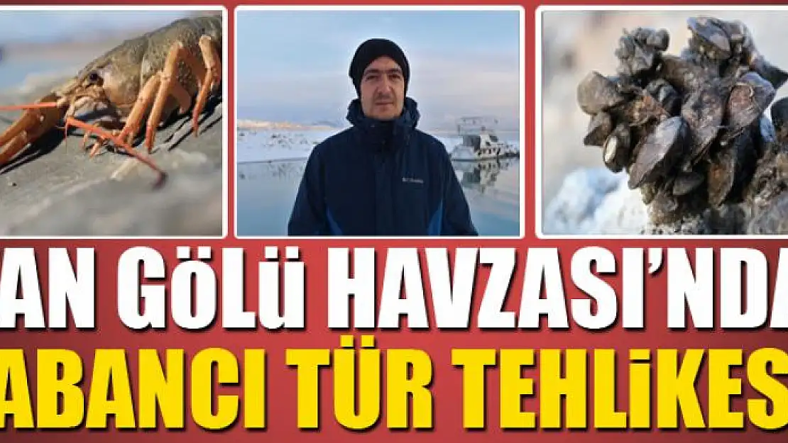 Van Gölü Havzası'nda yabancı tür tehlikesi