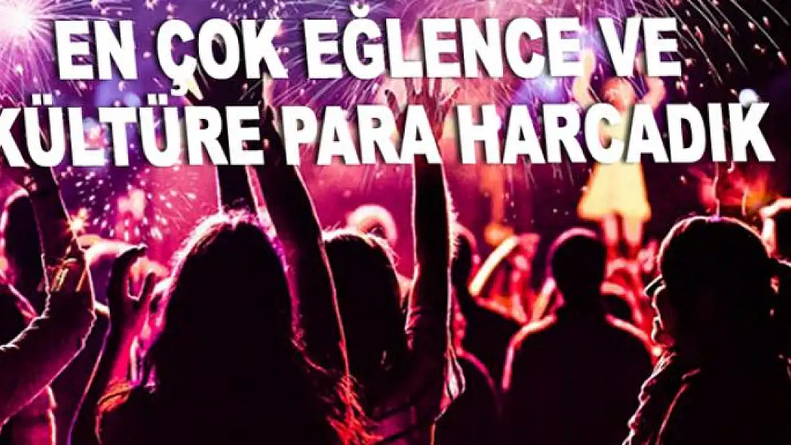 2018 yılında eğlenceye daha çok para harcadık