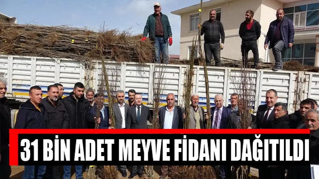 31 bin adet meyve fidanı dağıtıldı