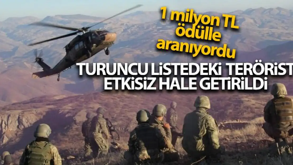 Diyarbakır'da 1 milyon liraya kadar ödülle turuncu listede aranan terörist etkisiz hale getirildi