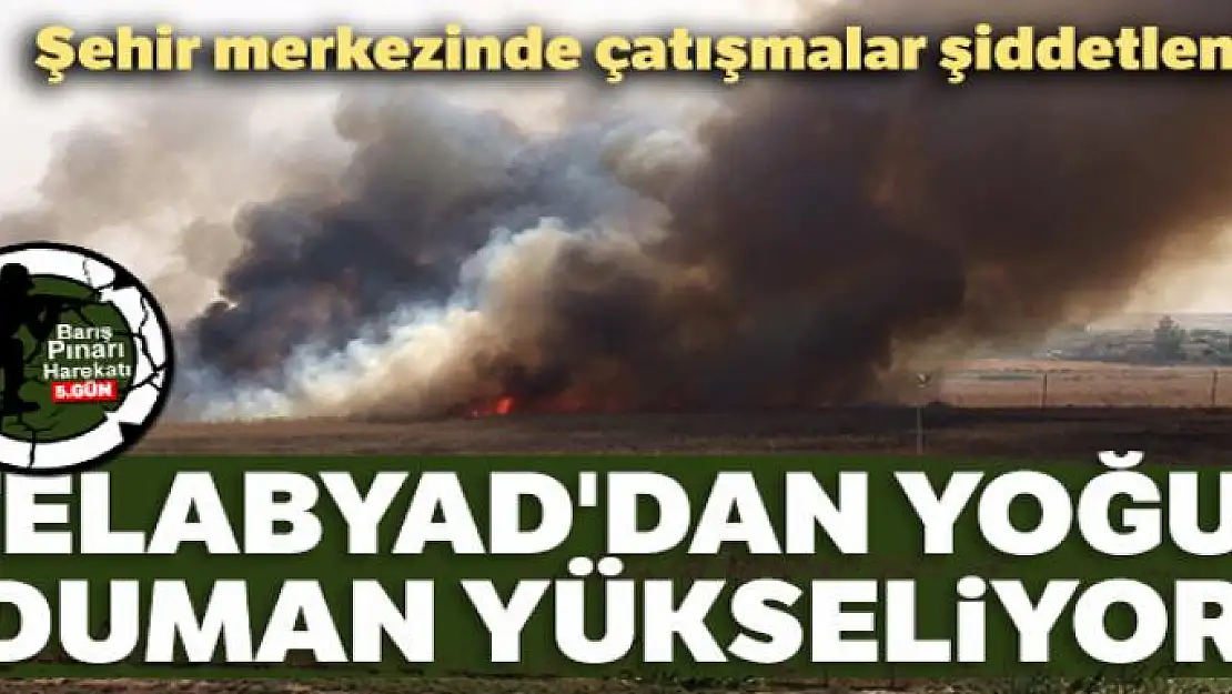 Telabyad'dan yoğun duman yükseliyor