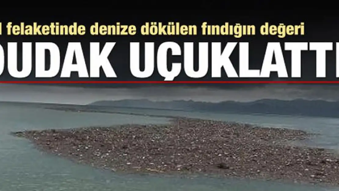 Fındık adacıklarının bilançosu belli oldu