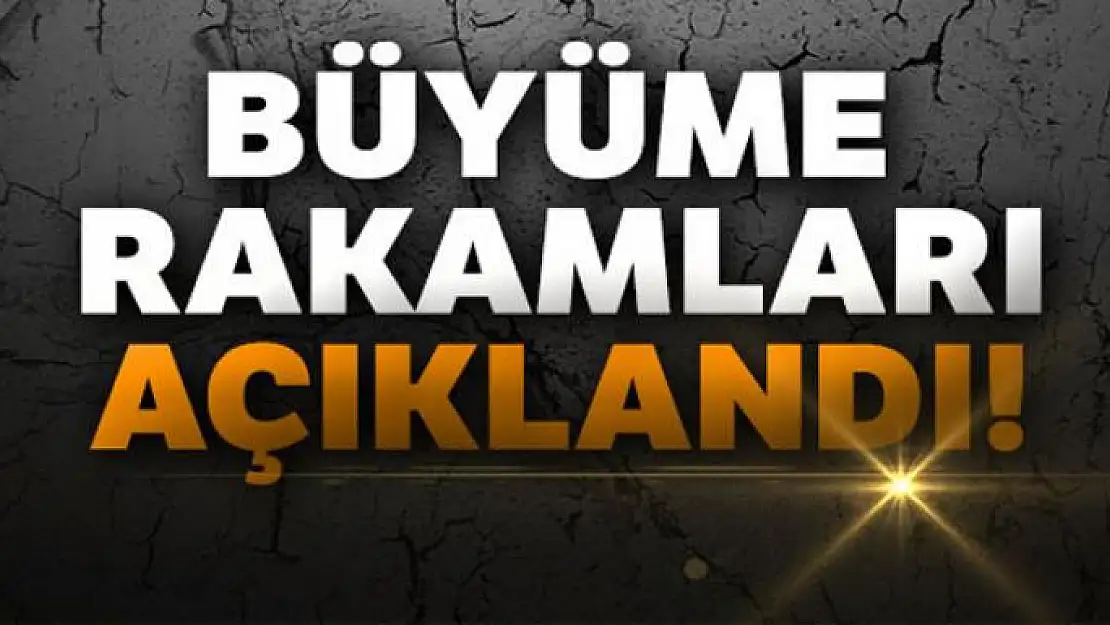 3'üncü çeyrek büyüme rakamları açıklandı