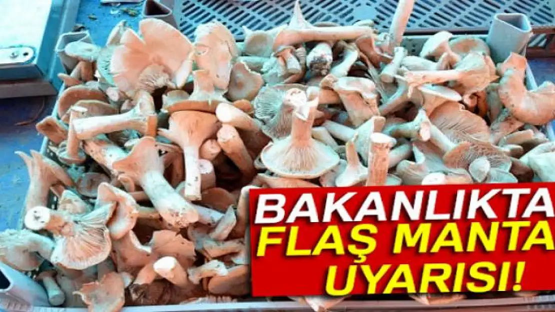 Sağlık Bakanlığından mantar zehirlenmesine ilişkin açıklama