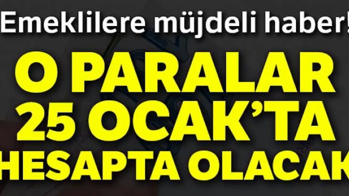 Bakan Selçuk: 'Emeklilerimizin farkları Ocak ayı içerisinde ödenecektir'