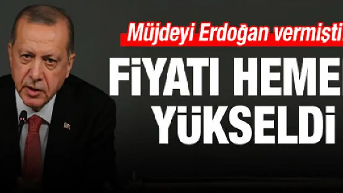 Erdoğan müjdeyi verdi, fiyatı hemen yükseldi