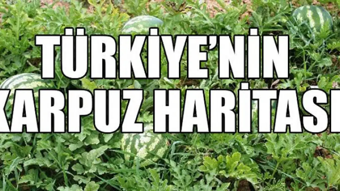 İllere göre karpuz üretimi