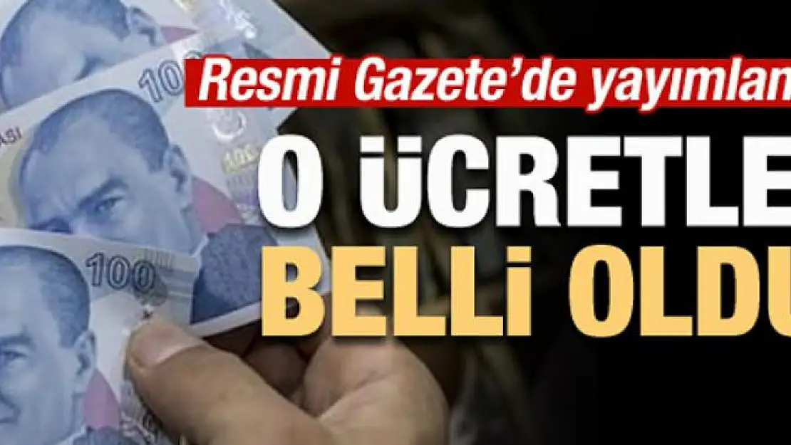 Resmi Gazete'de yayımlandı... O ücretler belli oldu!