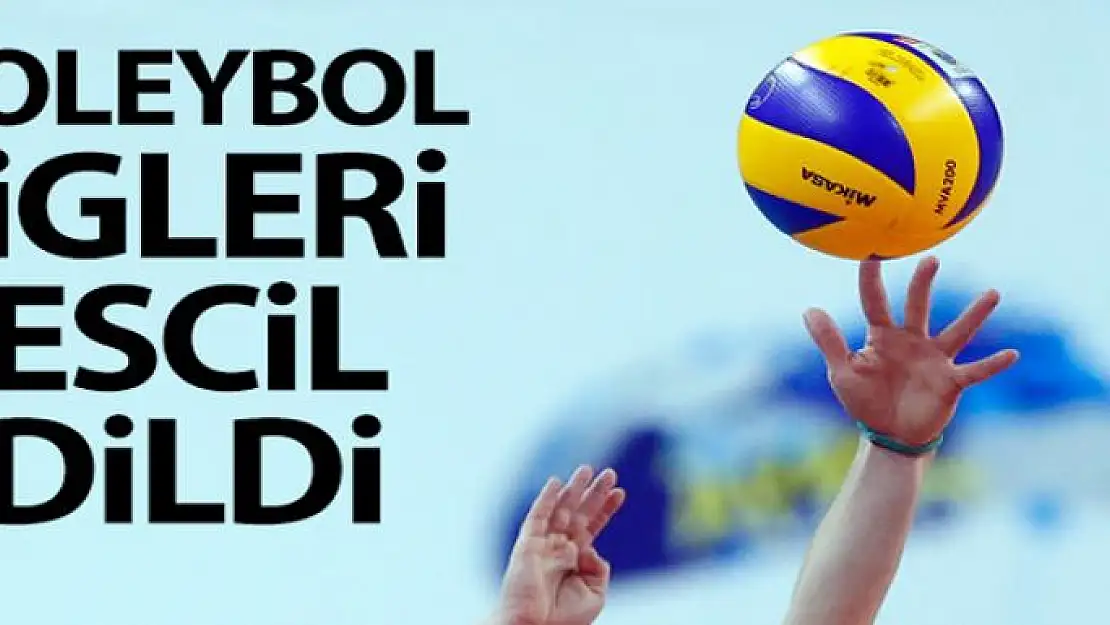 Voleybol ligleri tescil edildi