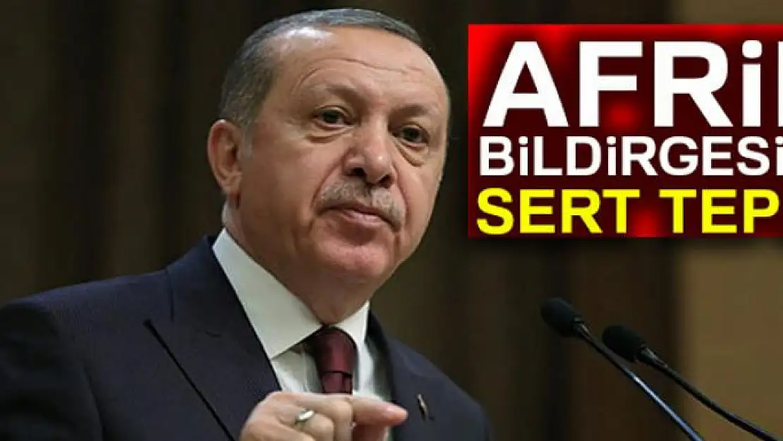 Cumhurbaşkanı Erdoğan'dan Afrin bildirisine imza atanlara sert tepki