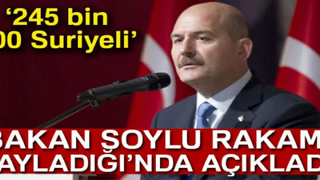 İçişleri Bakanı Soylu: '245 bin 300 Suriyeli kardeşimiz 2 yılda geri döndü'