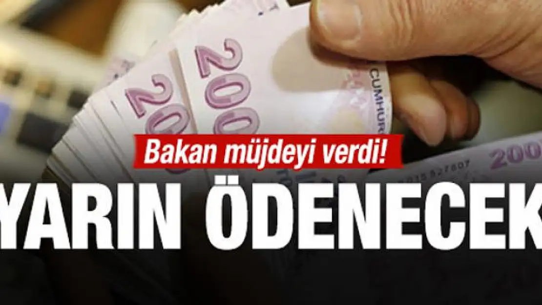 Bakan müjdeyi verdi! Yarın tek seferde ödenecek