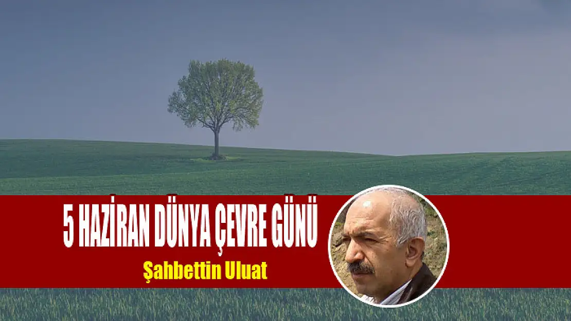 5 HAZİRAN DÜNYA ÇEVRE GÜNÜ