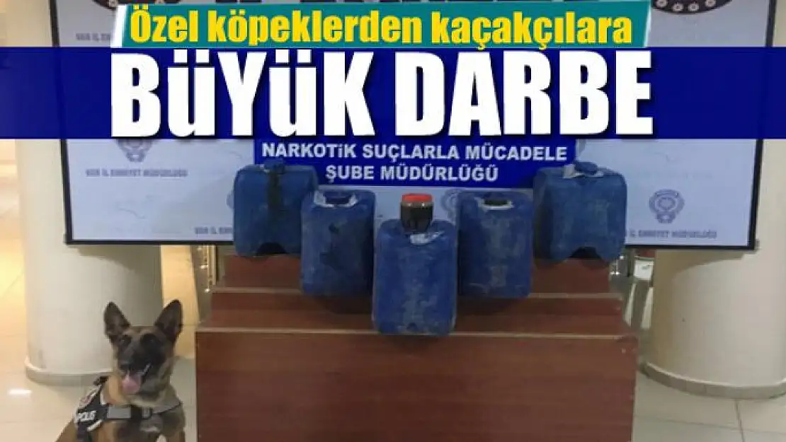 Özel köpeklerden kaçakçılara büyük darbe 