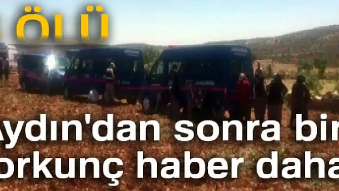 Aydın'dan sonra bir korkunç haber daha! 5 ölü