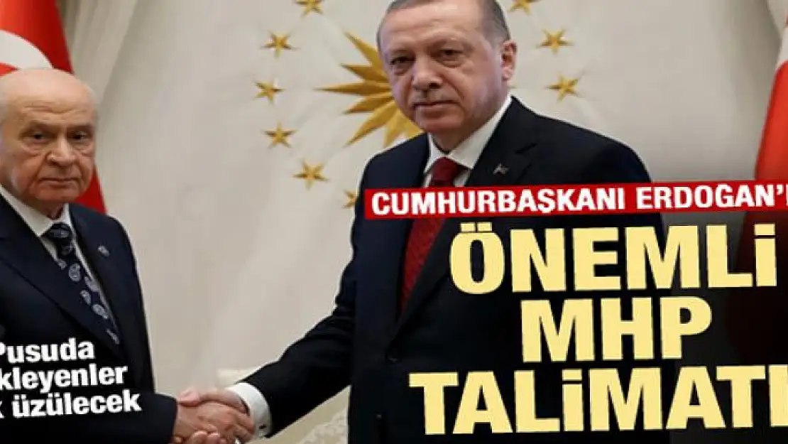 Cumhurbaşkanı Erdoğan'dan önemli MHP talimatı!