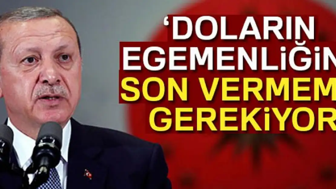 Cumhurbaşkanı Erdoğan: 'Doların egemenliğine son vermemiz gerekiyor'