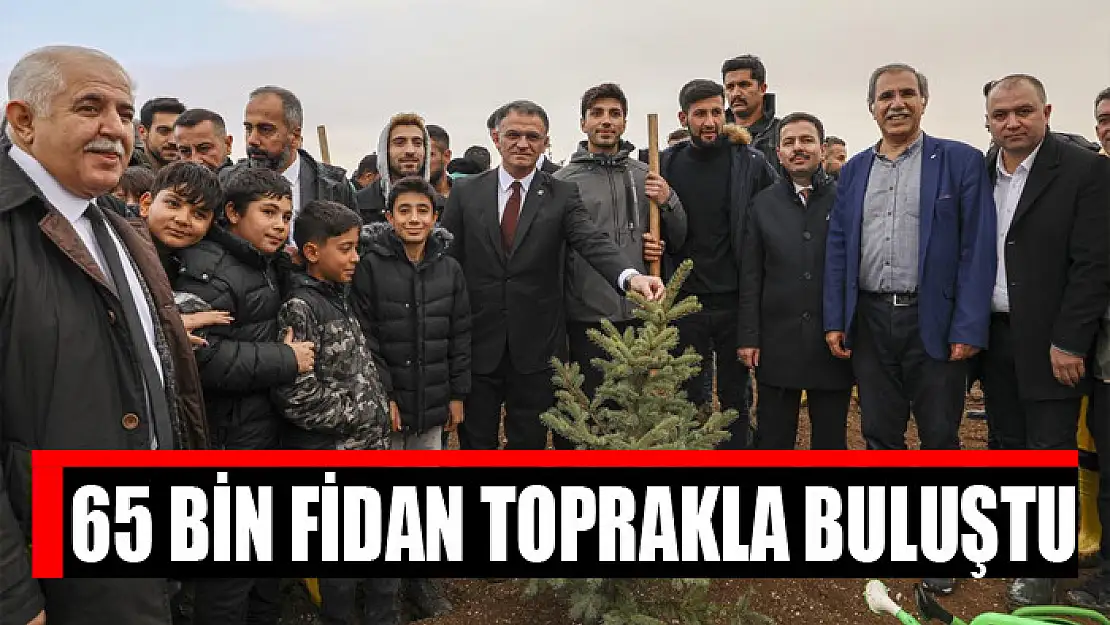 65 bin fidan toprakla buluştu