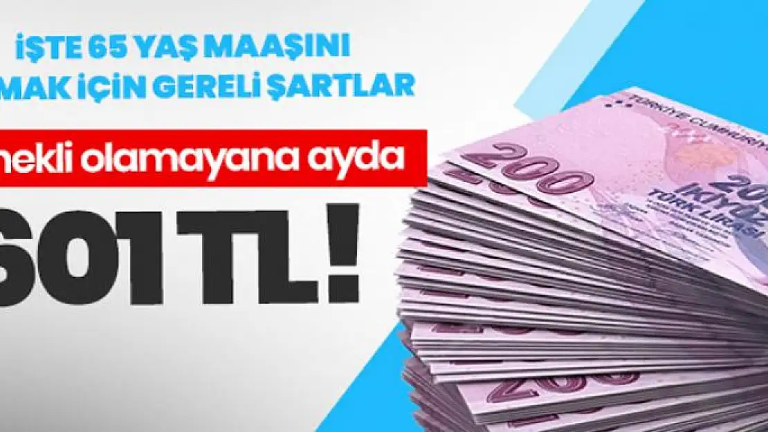 Emekli olamayana ayda 601 TL! İşte 65 yaş maaşını almak için gereli şartlar...